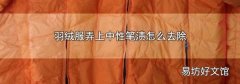 羽绒服弄上中性笔渍怎么去除