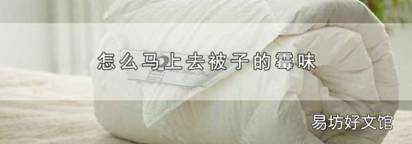 怎么马上去被子的霉味