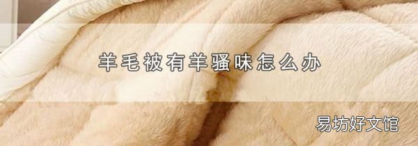 羊毛被有羊骚味怎么办