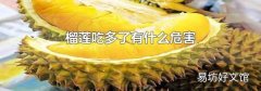 榴蓮吃多了有什么危害