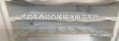 热的东西能直接放冰箱冷冻吗