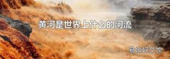 黄河是世界上什么的河流