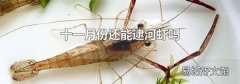 十一月份还能逮河虾吗