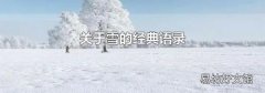 关于雪的经典语录