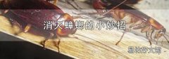 消灭蟑螂的小妙招