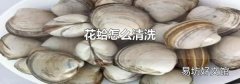 花蛤怎么清洗