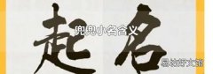 兜兜小名含义