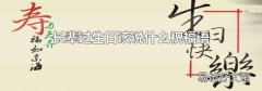 长辈过生日该说什么祝福语