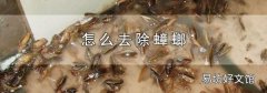 怎么去除蟑螂