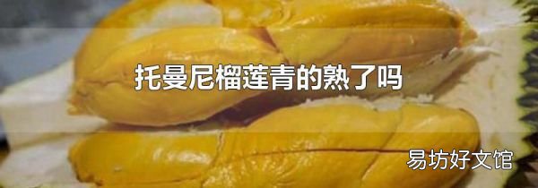托曼尼榴莲青的熟了吗