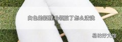 白色的狐狸毛领脏了怎么清洗