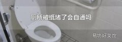 廁所被紙堵了會自通嗎