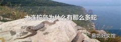 大连蛇岛为什么有那么多蛇