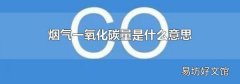 烟气一氧化碳量是什么意思
