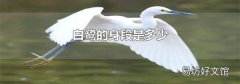白鹭的身段是多少