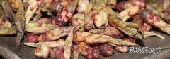 雀嘴茶的功效与禁忌