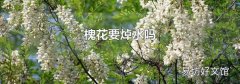 槐花要焯水吗