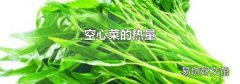 空心菜的热量