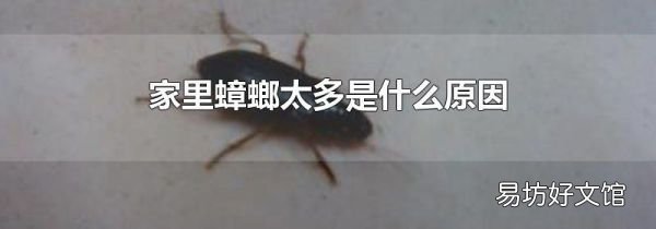 家里蟑螂太多是什么原因