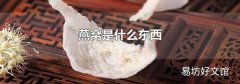 燕窝是什么东西