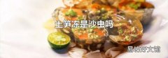 土笋冻是沙虫吗
