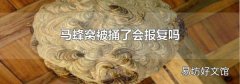 马蜂窝被捅了会报复吗