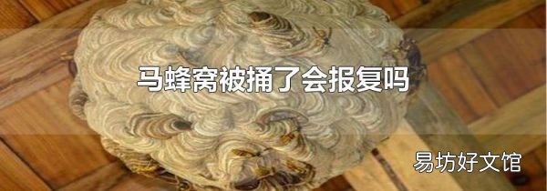 马蜂窝被捅了会报复吗