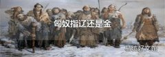 匈奴指遼還是金
