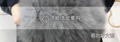 空气洗能洗皮草吗