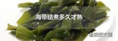 海带结煮多久才熟