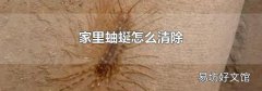 家里蚰蜒怎么清除