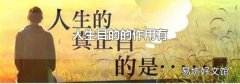 人生目的的作用有