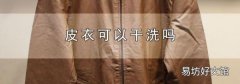 皮衣可以干洗吗