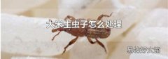 大米生虫子怎么处理