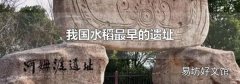 我国水稻最早的遗址