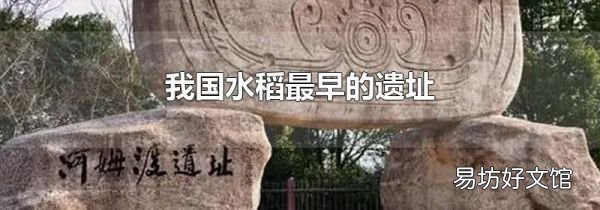 我国水稻最早的遗址