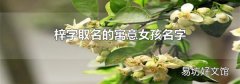 梓字取名的寓意女孩名字