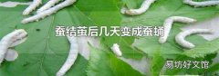 蚕结茧后几天变成蚕蛹