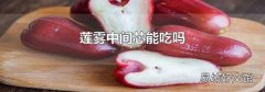 莲雾中间芯能吃吗