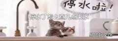 停水了怎么查几点来水