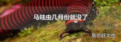 馬陸蟲幾月份就沒了
