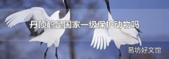 丹顶鹤是国家一级保护动物吗