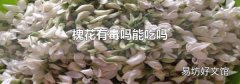 槐花有毒吗能吃吗