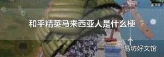和平精英马来西亚人是什么梗