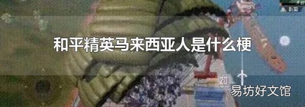 和平精英马来西亚人是什么梗