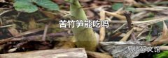 苦竹笋能吃吗