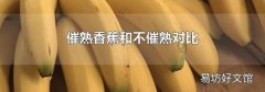 催熟香蕉和不催熟对比