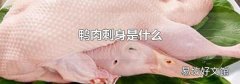 鸭肉刺身是什么