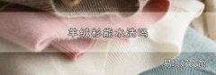 羊绒衫能水洗吗