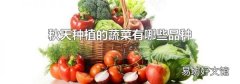 秋天种植的蔬菜有哪些品种